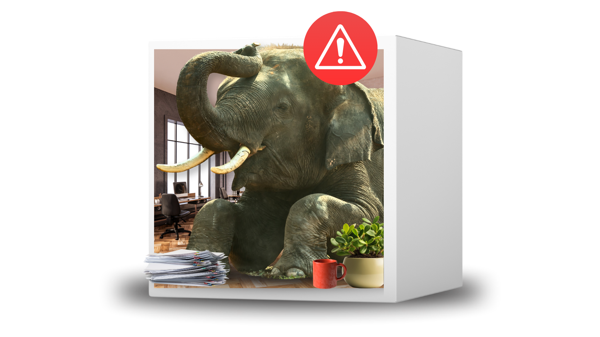 Elephant in the room illustration