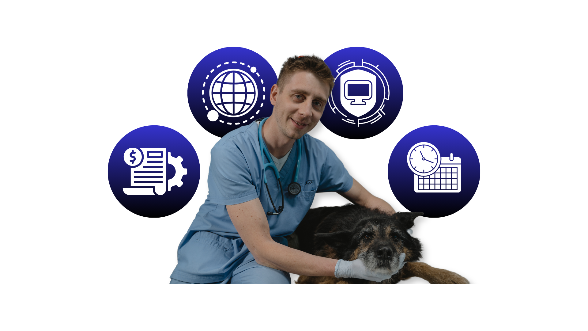 Veterinary illustration with icons